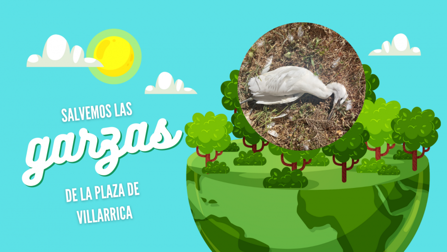 Portada_para_Facebook_d&iacute;a_de_la_tierra.png